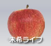 未希ライフ