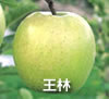 王林